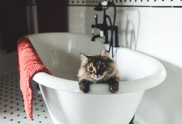 Veolia i Orange budują miasta przyszłości