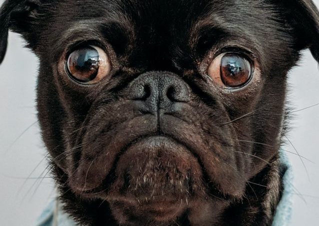 Huawei świętuje drugie urodziny swojego sklepu huawei.pl – z tej okazji atrakcyjne oferty dla klientów