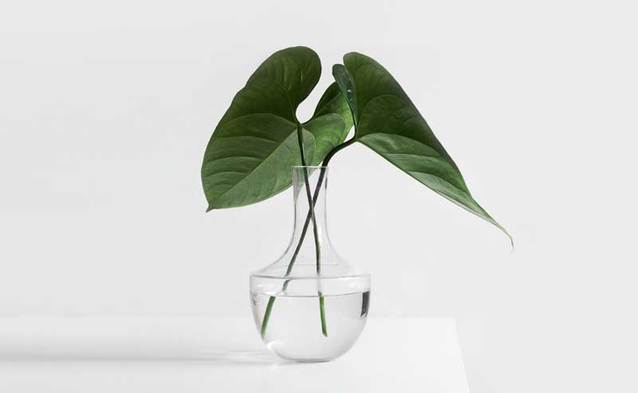 HUAWEI STARTUP CHALLENGE: #TechForBetterPlanet