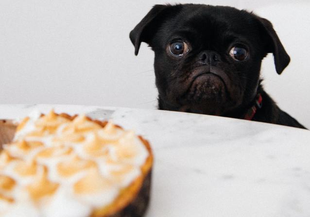 UPC przyspiesza internet, zwiększa abonament, później ma zwrócić pieniądze