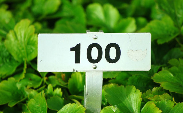 100 zł w gotówce dla nowych klientów Plus na Kartę