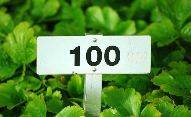 Darmowe 100 GB za doładowanie w Orange