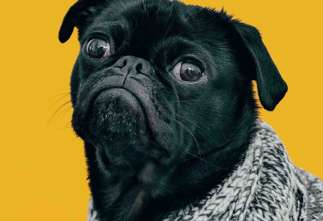 TVP jako jedyny nadawca będzie mogła przez wiele miesięcy nadawać w starym standardzie telewizji