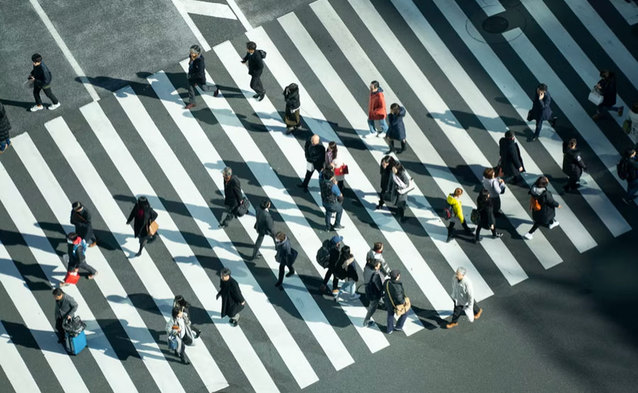 Raporty przenoszenia numerów w II kwartale 2022 r.