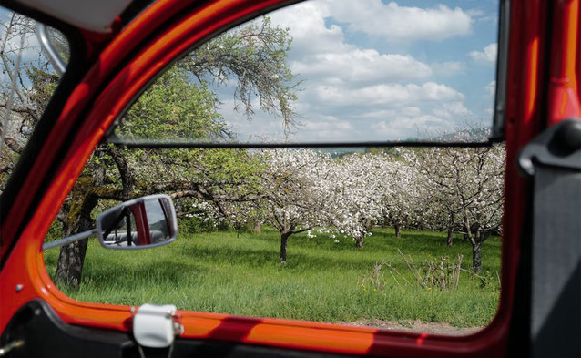 Darmowa Nawigacja Orange