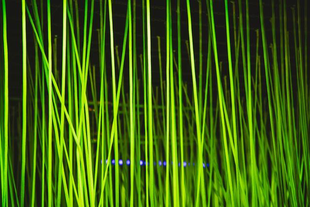 1 stycznia rewolucja w instalowaniu szybkiego internetu w Polsce