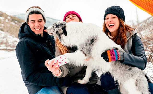 Promocje w Orange Flex