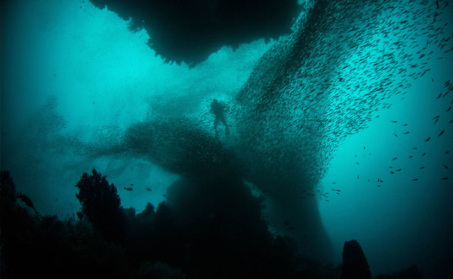 Jest już apka nurkowa dla Ultry - koszt to 60 zł/miesiąc