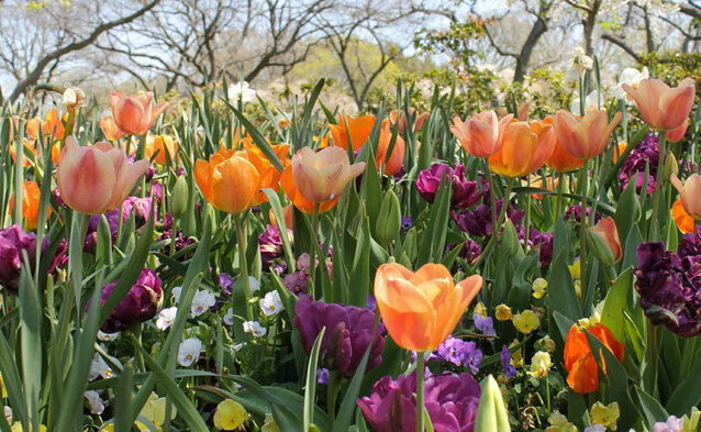 Wiosenna promocja w x-kom