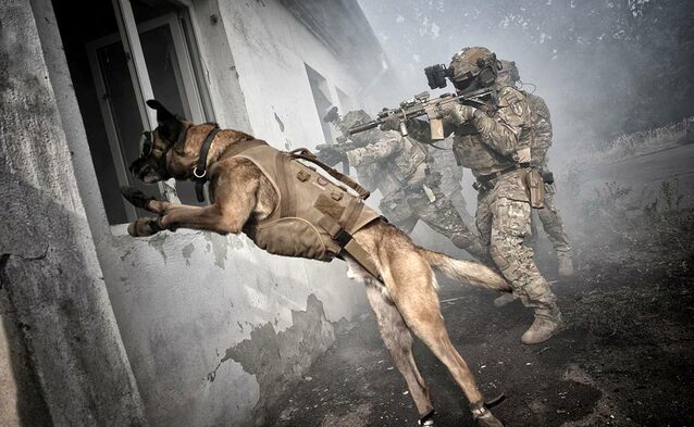 Będzie wojenny system łączności – za jego organizację ma odpowiadać Bondaryk