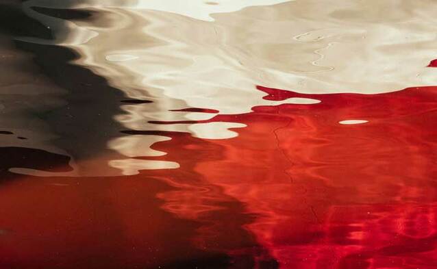 Cybertarcza Rzeczypospolitej Polskiej – założenia realizacyjne programu