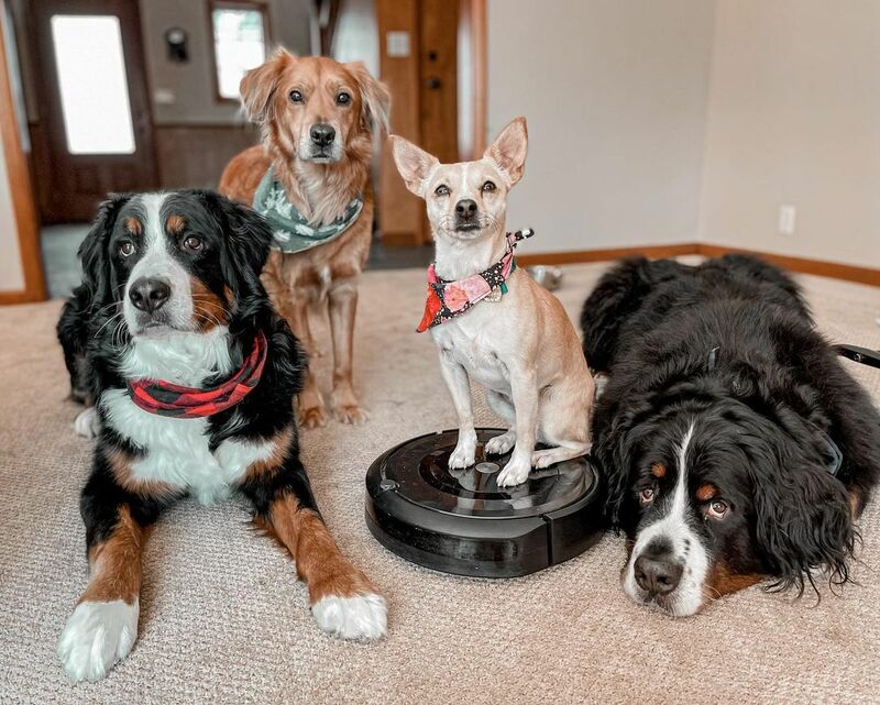 To może być koniec odkurzaczy Roomba