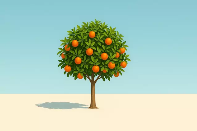 Orange powiesił swoje światłowody na drzewach i poniemieckich słupach