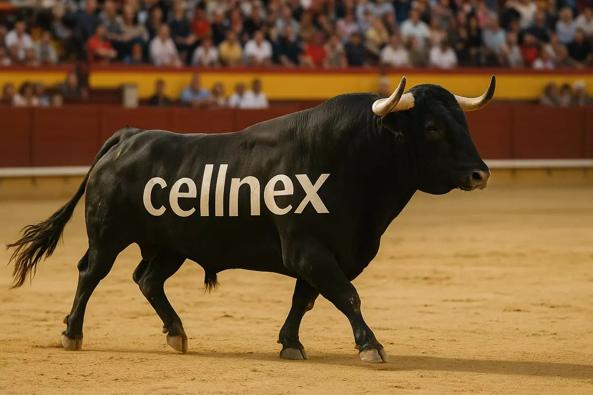 Właściciel masztów PLAY i Plusa podał swoje wyniki