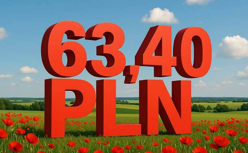 TELKO.IN: 63,40 zł to średnia cena internetu stacjonarnego w Polsce w październiku