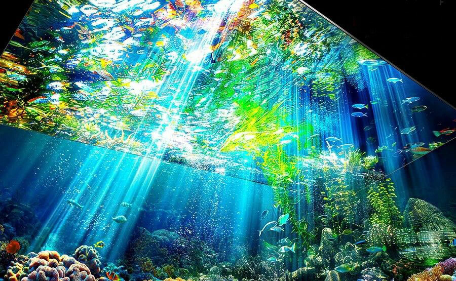 115-calowy telewizor Micro RGB Samsunga jest już w Polsce