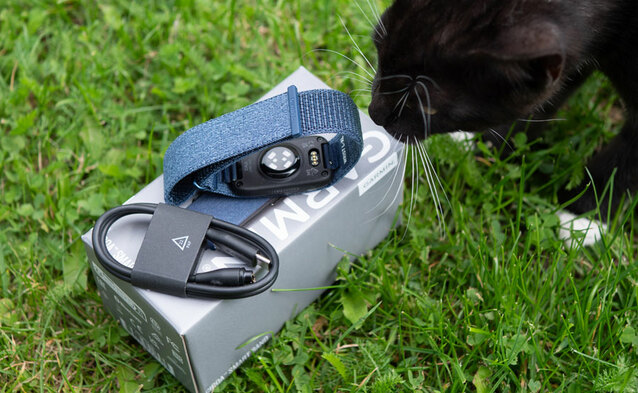 Test Garmin CIRQA Smart Band – droga opaska, która pozwala tanio wejść do świata Garmina