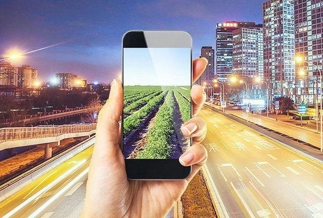 Orange Free na kartę