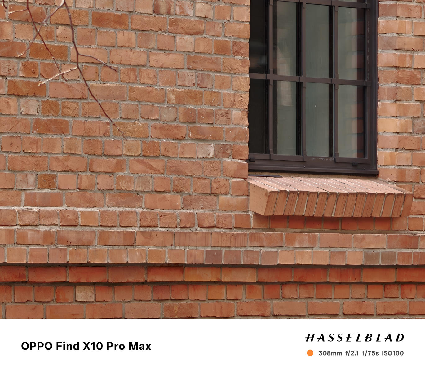 Takie zdjęcia robi OPPO Find X10 Pro Max