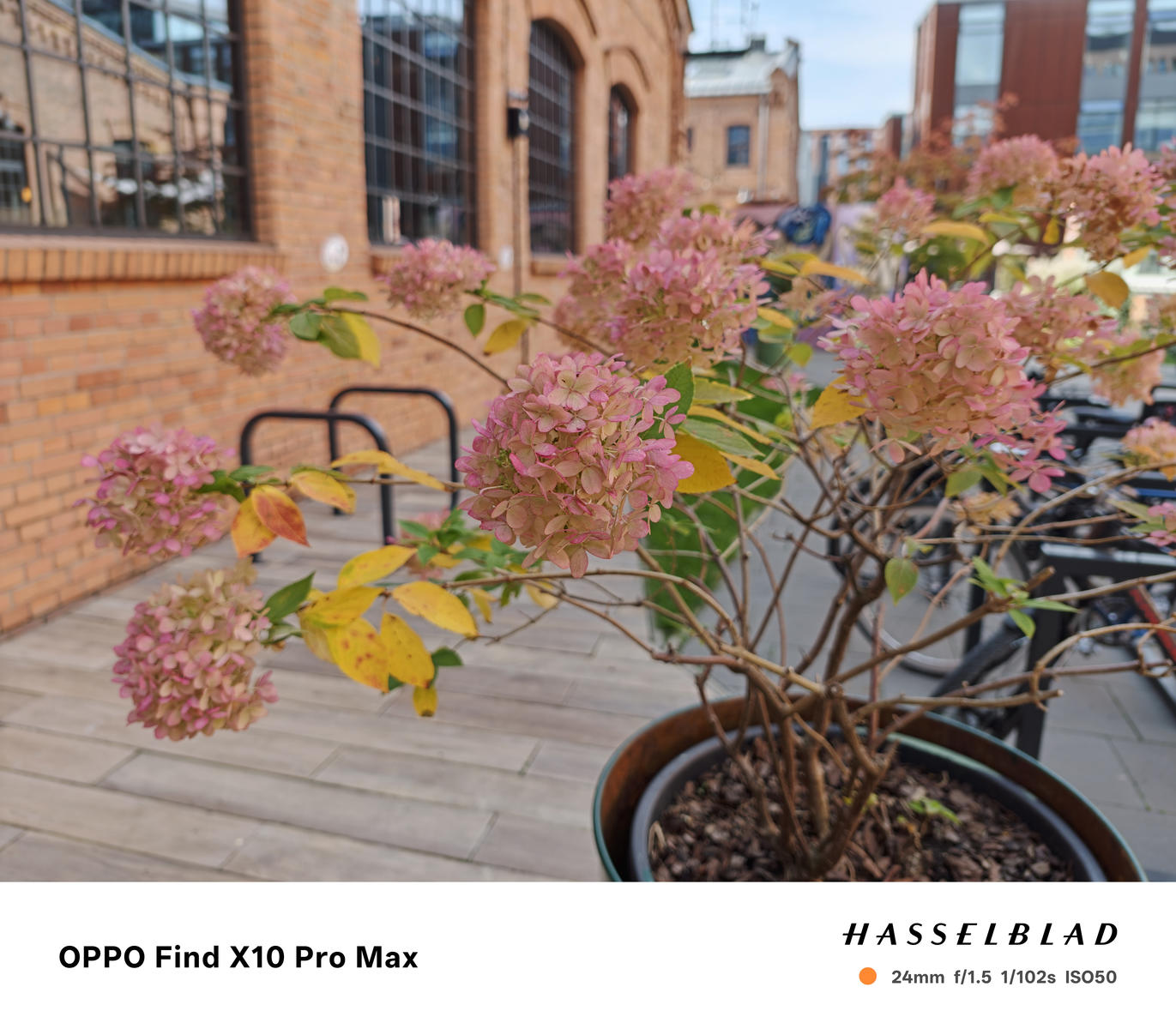 Takie zdjęcia robi OPPO Find X10 Pro Max