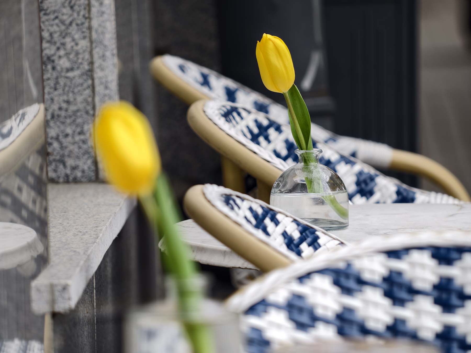 Sprawdziliśmy vivo X300 Ultra z telekonwerterem G2 Ultra – to teraz najbardziej imponujące technicznie zdjęcia, jakie można wykonać smartfonem