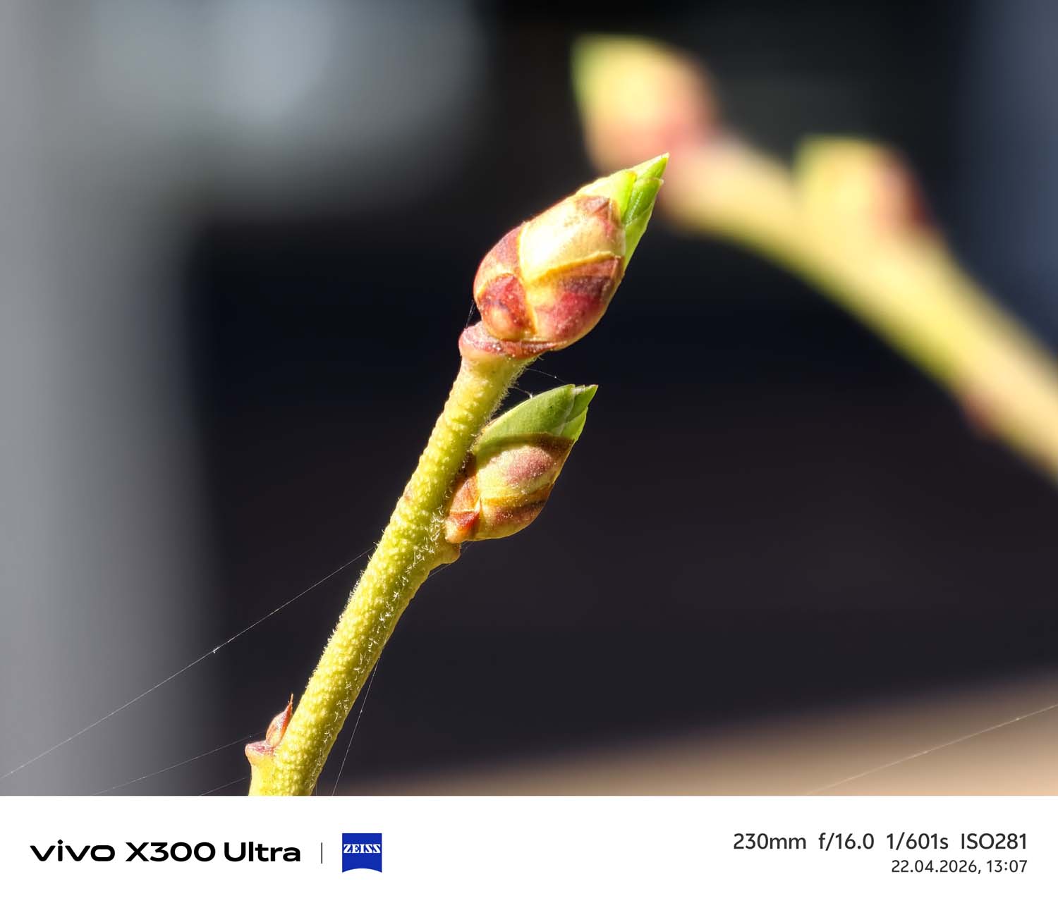 Starcie najnowszych fotograficznych tytanów – OPPO Find X9 Ultra versus vivo X300 Ultra