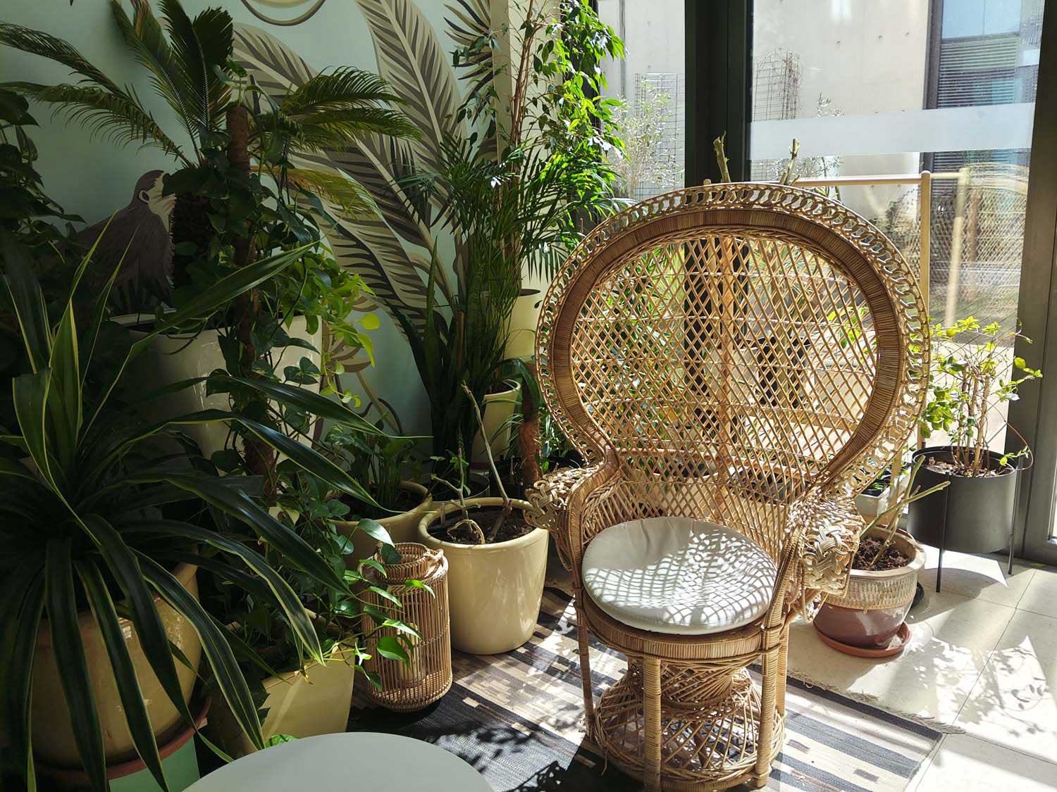 realme 16 5G – nasze pierwsze wrażenia – duża bateria i jasny ekran, ale krok wstecz względem poprzedników