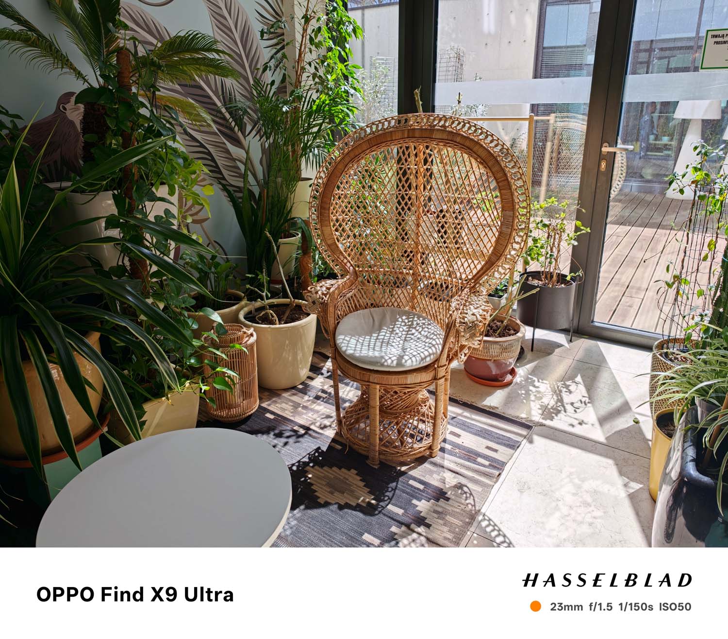 Starcie najnowszych fotograficznych tytanów – OPPO Find X9 Ultra versus vivo X300 Ultra