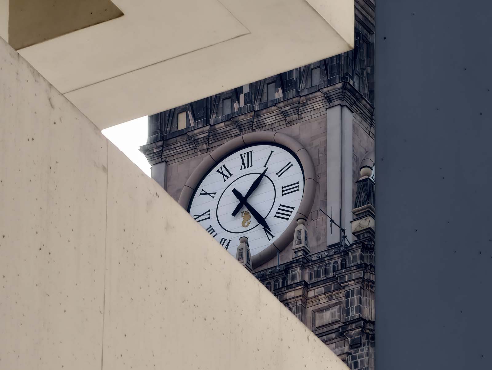 Porównaliśmy aparaty w smartfonach vivo X300 Pro, Samsung Galaxy S26 Ultra, iPhone 17 Pro Max i Xiaomi 17 Ultra