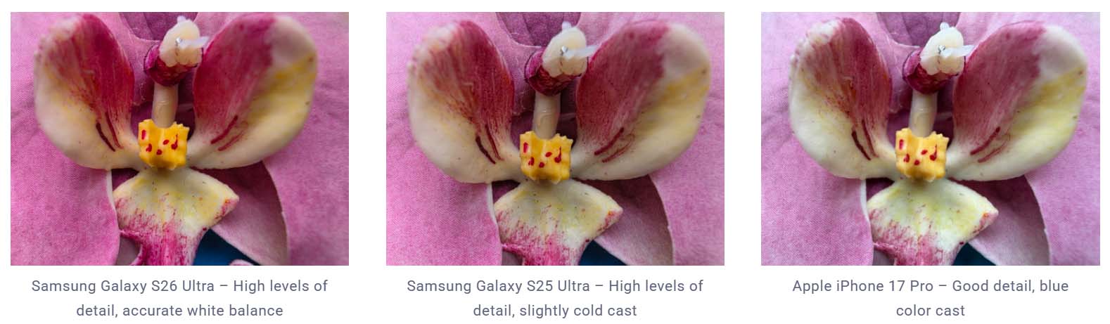 Wiemy już, które miejsce zajął S26 Ultra w rankingu DXOMARK