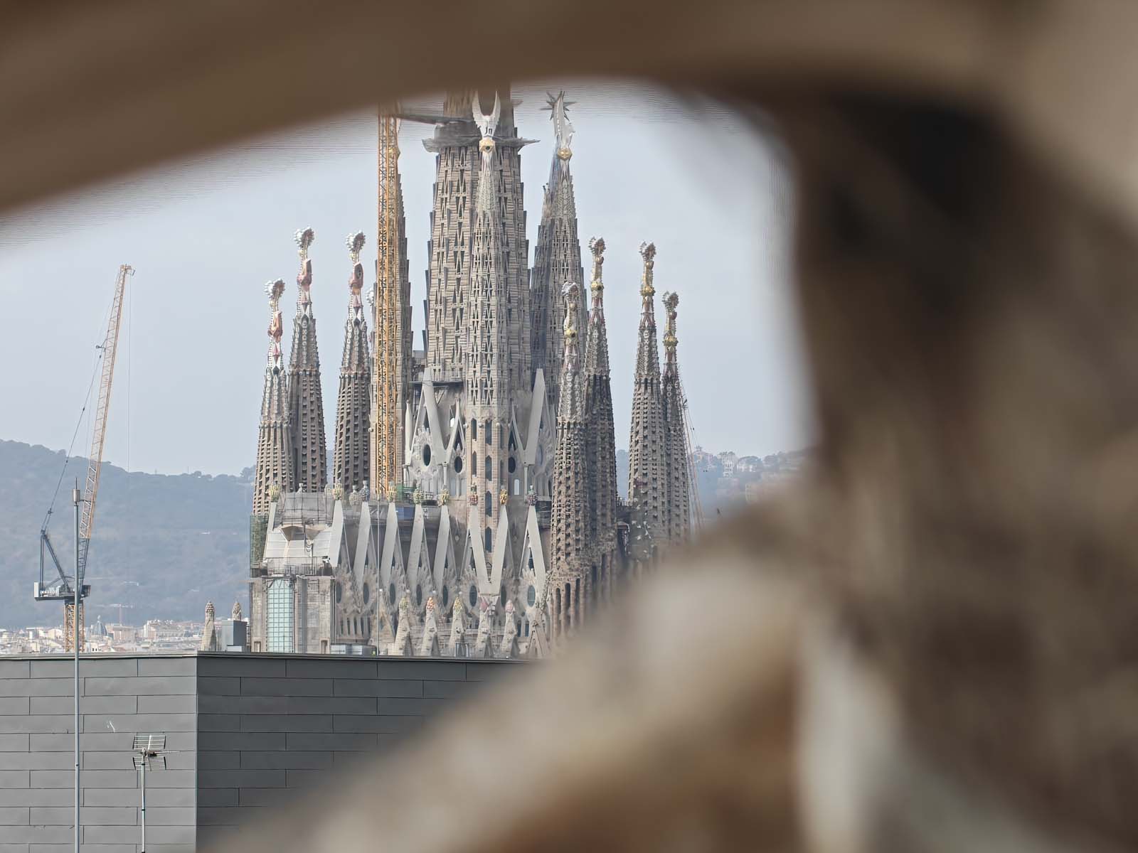 realme 16 Pro+ - takie robi zdjęcia – część 2