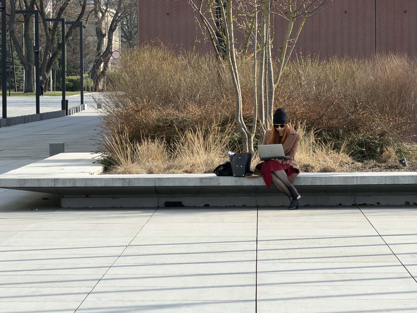 Porównaliśmy aparaty w smartfonach vivo X300 Pro, Samsung Galaxy S26 Ultra, iPhone 17 Pro Max i Xiaomi 17 Ultra