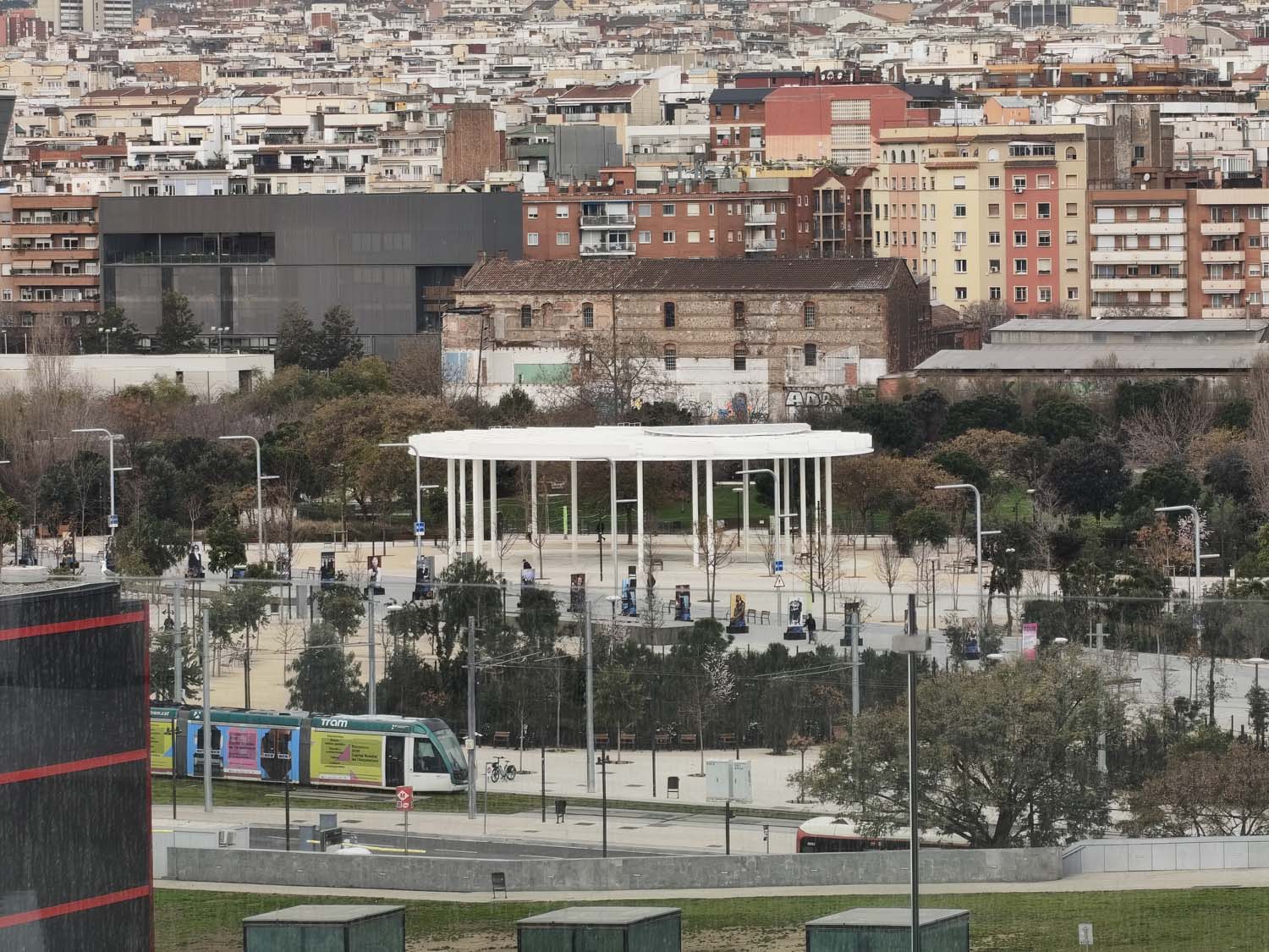 Takie zdjęcia robi Nothing Phone (4a)