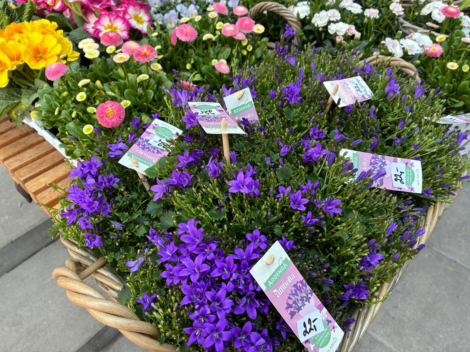 Porównujemy zdjęcia z Pixel 10a, iPhone 17e oraz Nothing Phone 4a