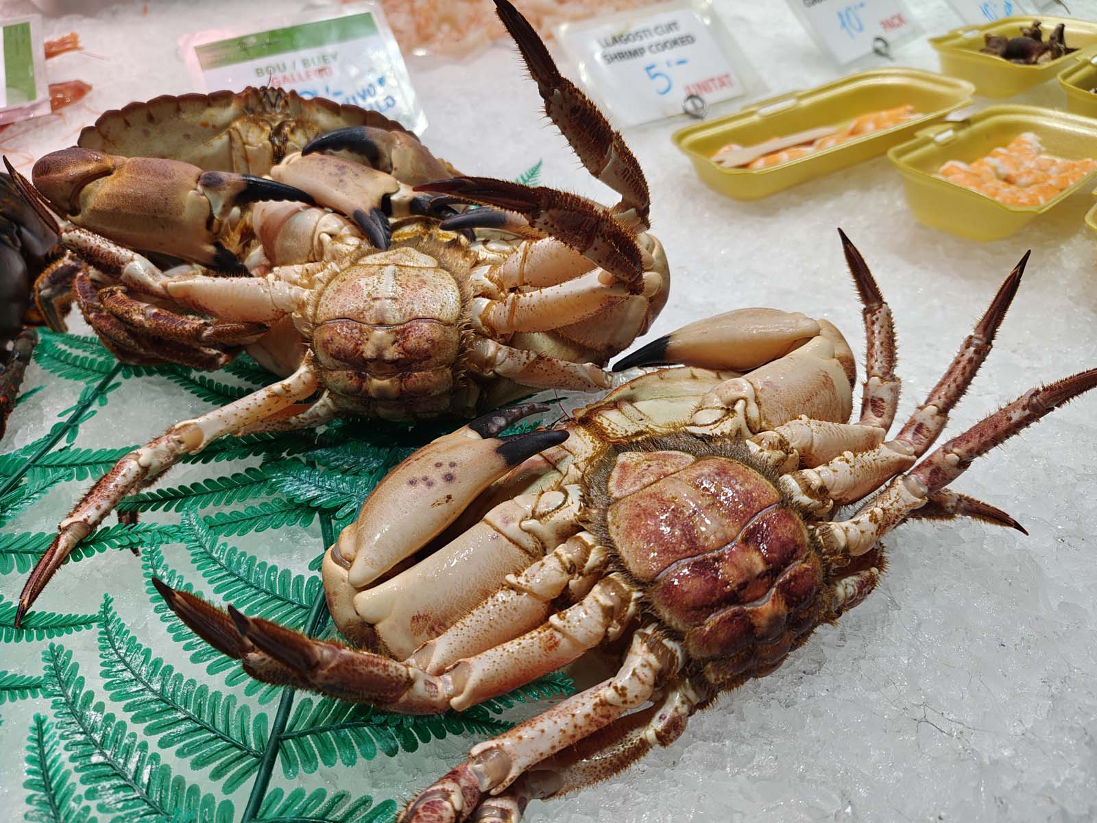 realme 16 Pro+ - takie robi zdjęcia – część 2