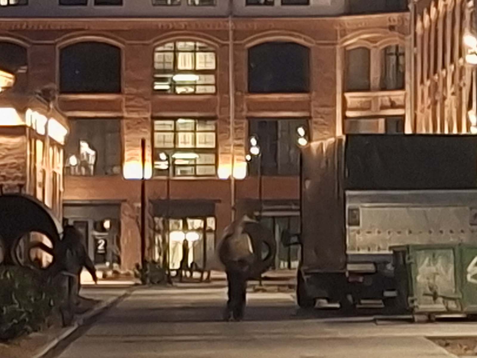 Samsung Galaxy A57 – takie robi zdjęcia w dzień i w nocy