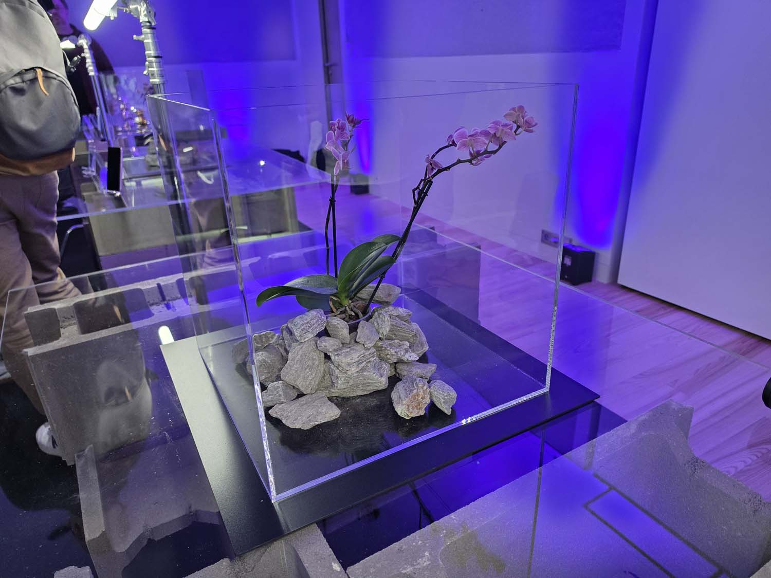 Takie zdjęcia robi Samsung Galaxy S26 Ultra