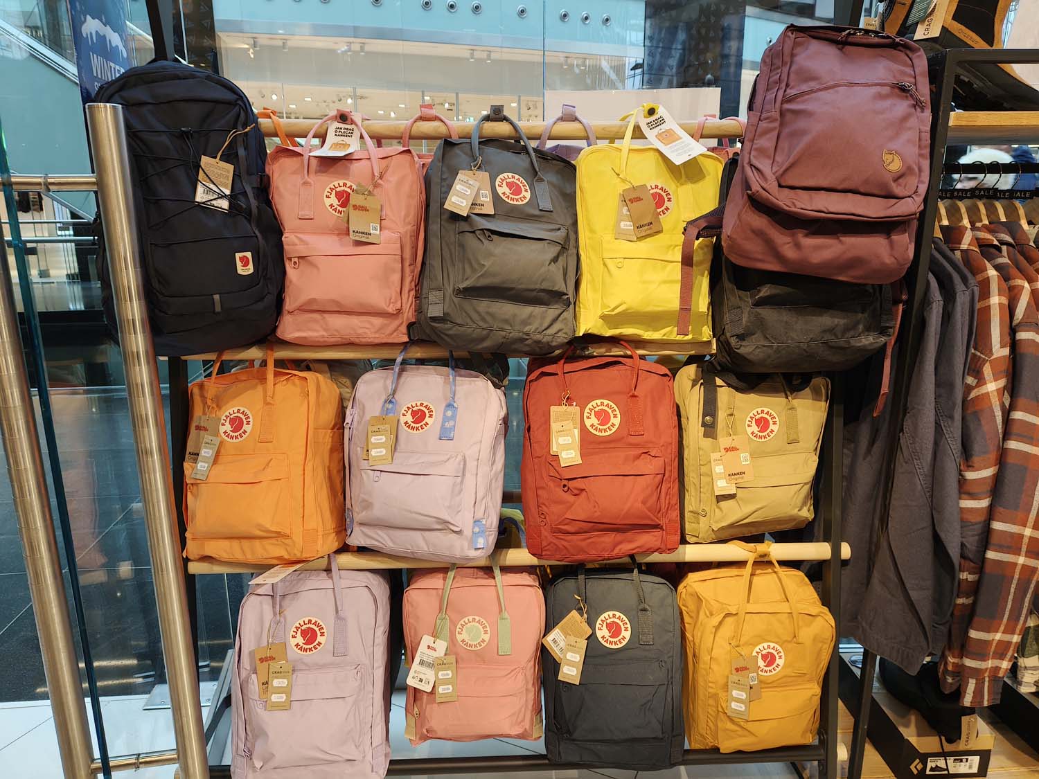 Takie zdjęcia robi realme 16 Pro 5G