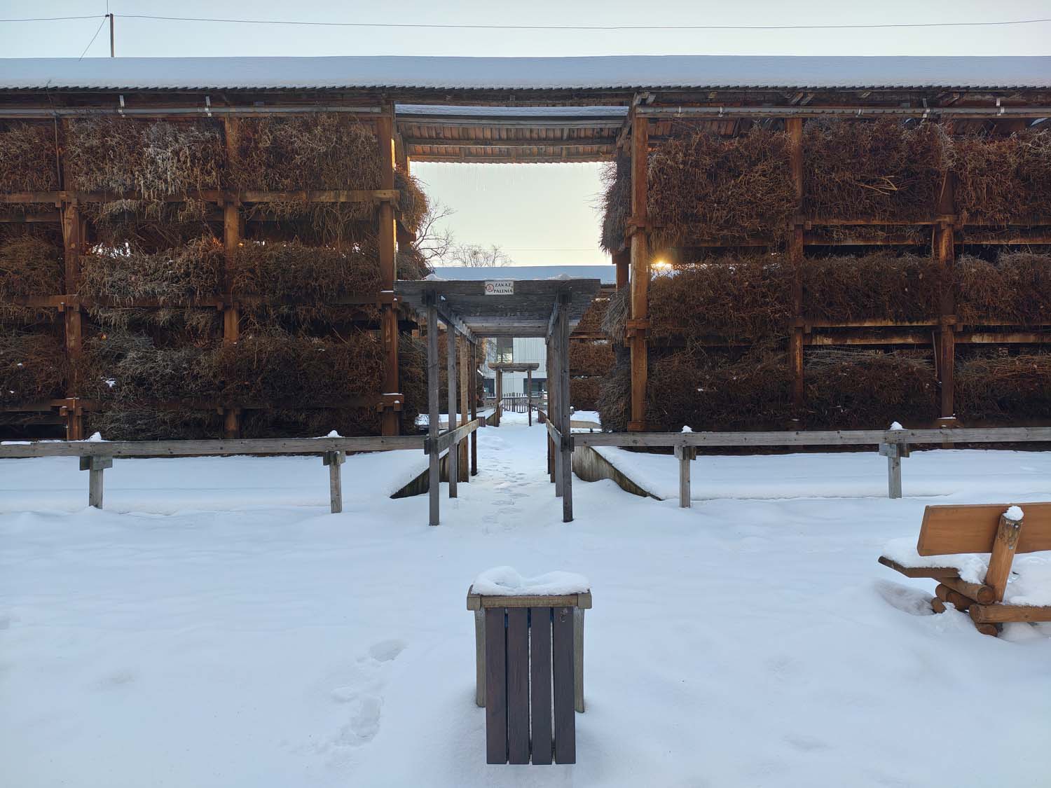 Motoroli signature - takie robi zdjęcia