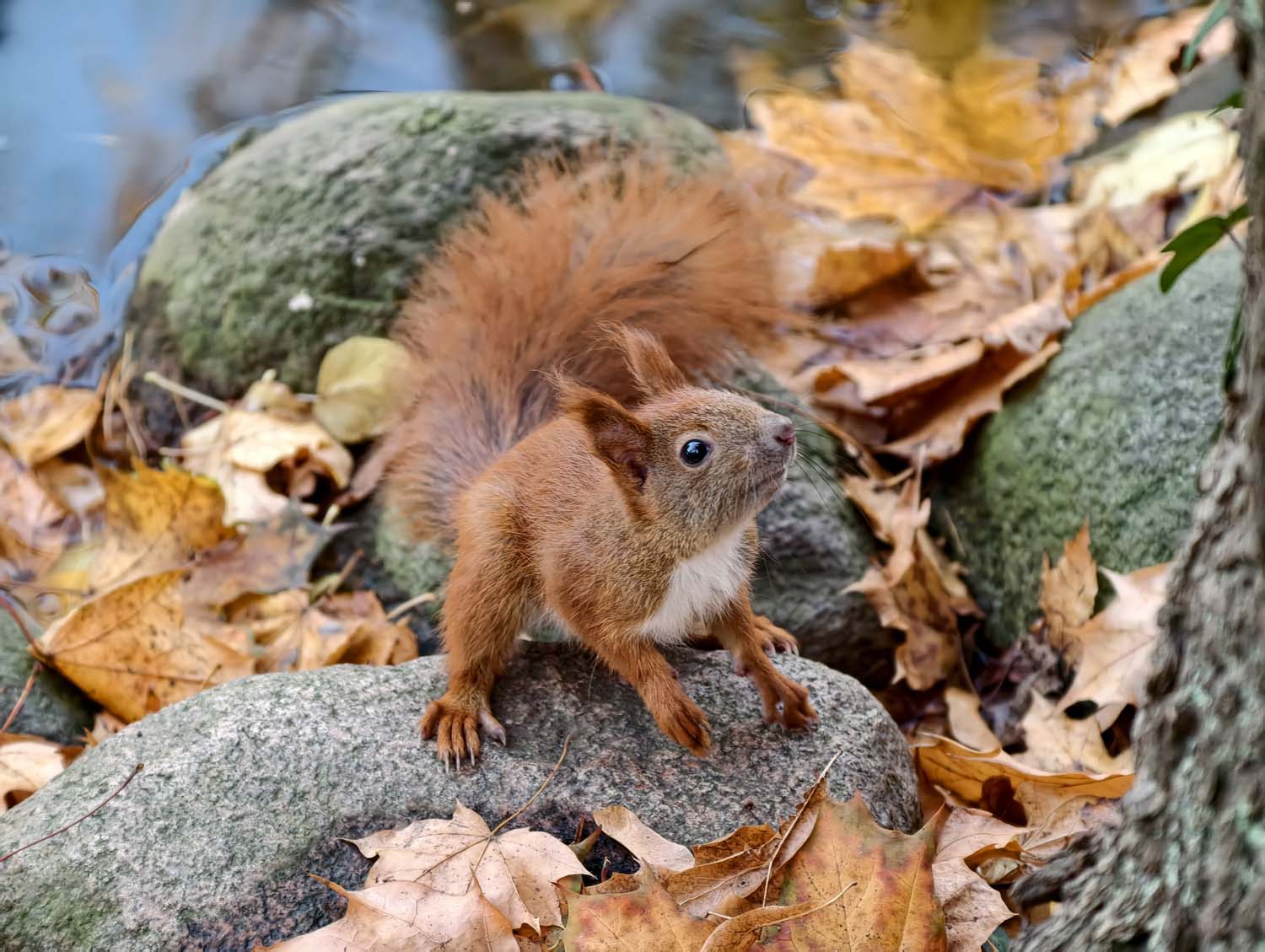 vivo X300 Pro - nasze przykładowe zdjęcia z Warszawy