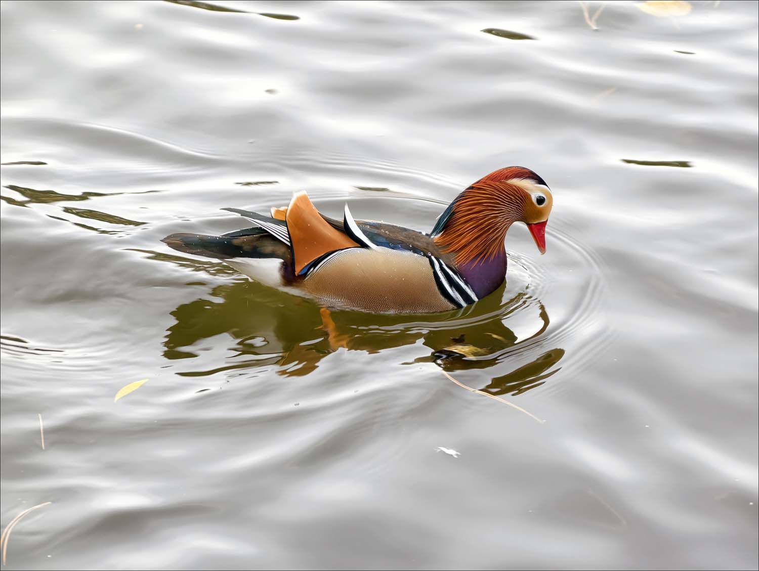 vivo X300 Pro - nasze przykładowe zdjęcia z Warszawy