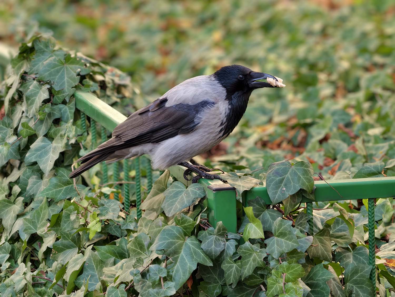 vivo X300 Pro - nasze przykładowe zdjęcia z Warszawy