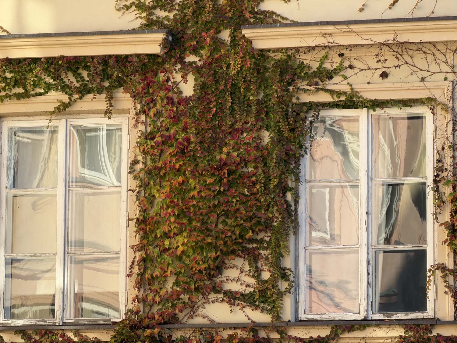 Porównaliśmy możliwości fotograficzne vivo X300 Pro i iPhone 17 Pro Max i wynik jest sporą niespodzianką