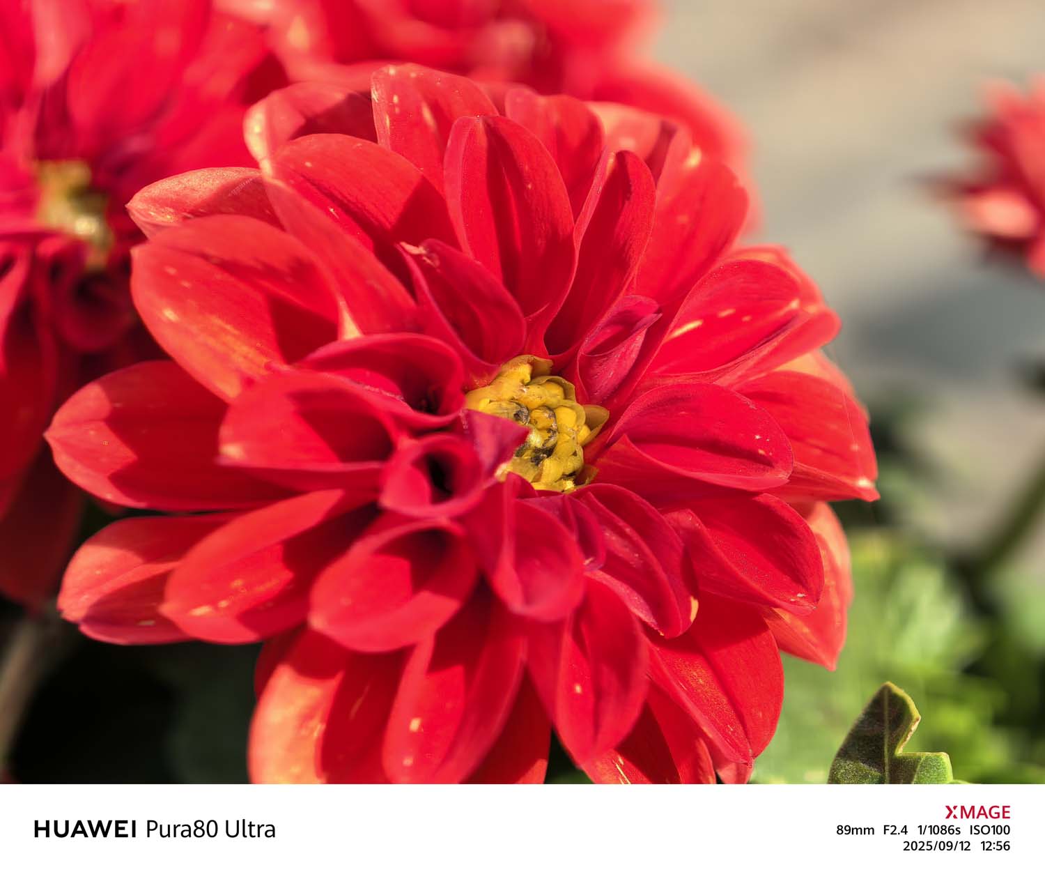 Ten smartfon to prawdziwa fotograficzna rewolucja tego roku