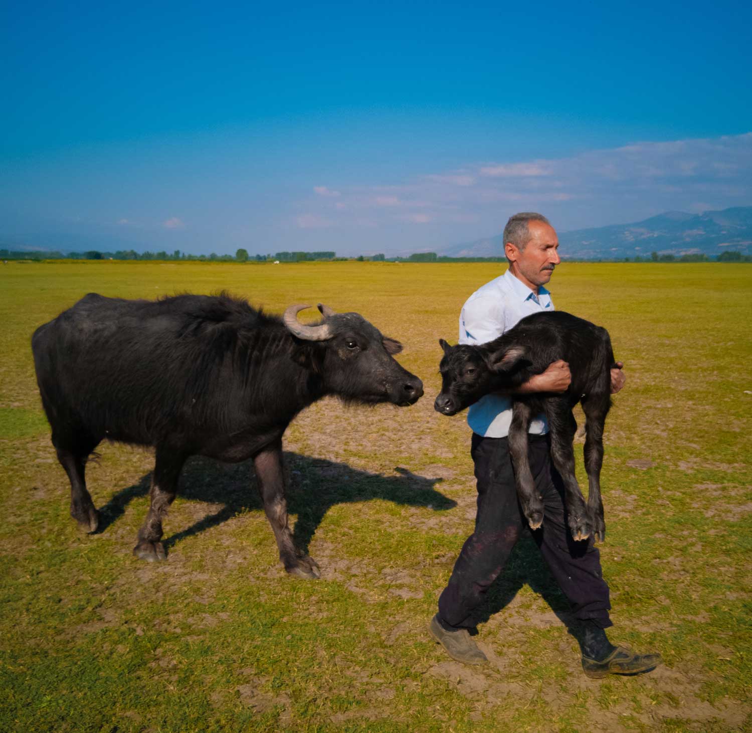 Konkurs fotograficzny HUAWEI XMAGE Awards 2025 - Polacy wśród zwycięzców!