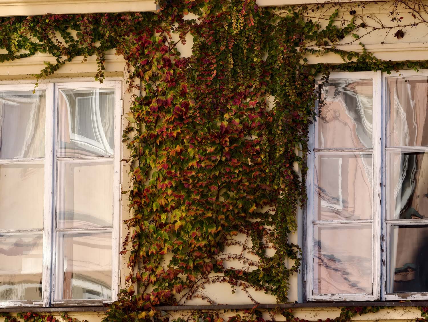 Porównaliśmy możliwości fotograficzne vivo X300 Pro i iPhone 17 Pro Max i wynik jest sporą niespodzianką