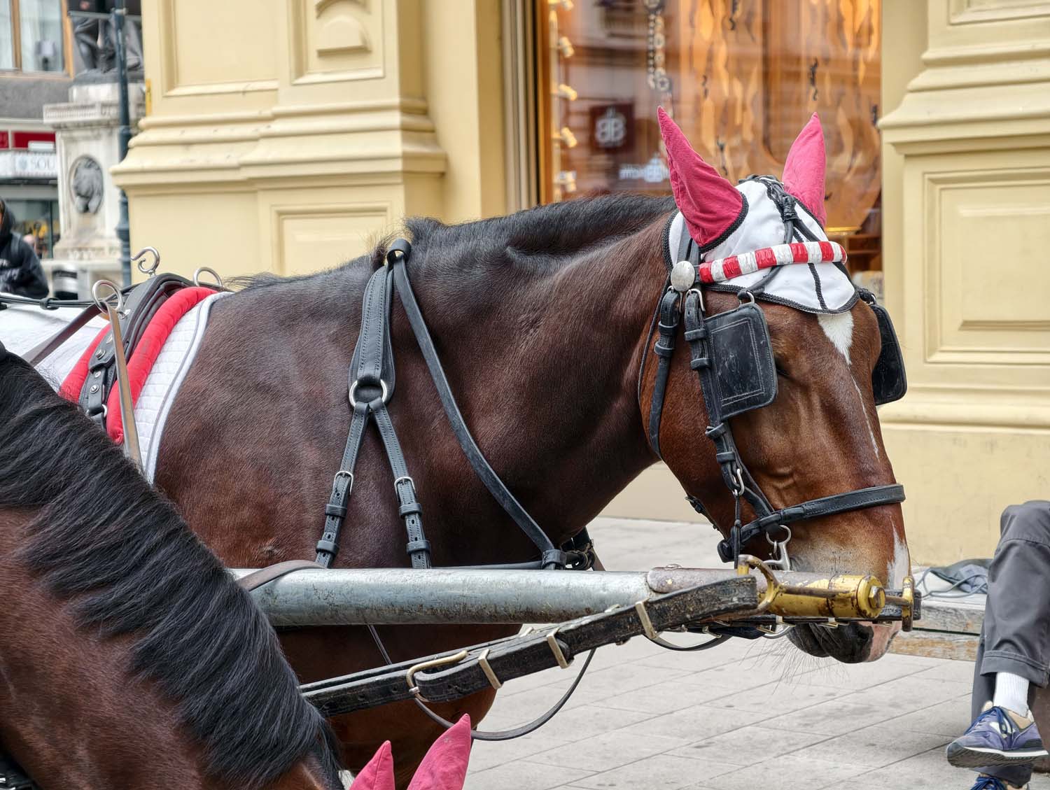 vivo X300 Pro - nasze przykładowe zdjęcia prosto z Wiednia