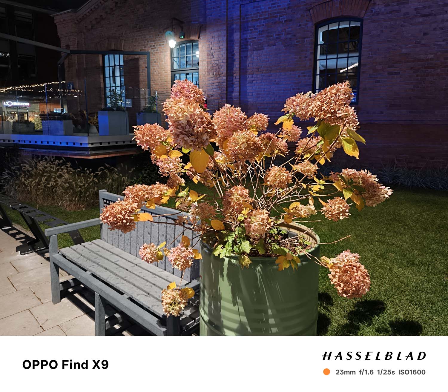 Nasze porównanie fotografii nocnej najnowszych chińskich flagowców: vivo X300 Pro, realme 8 GT Pro, Huawei Pura 80 Ultra i OPPO Find X9