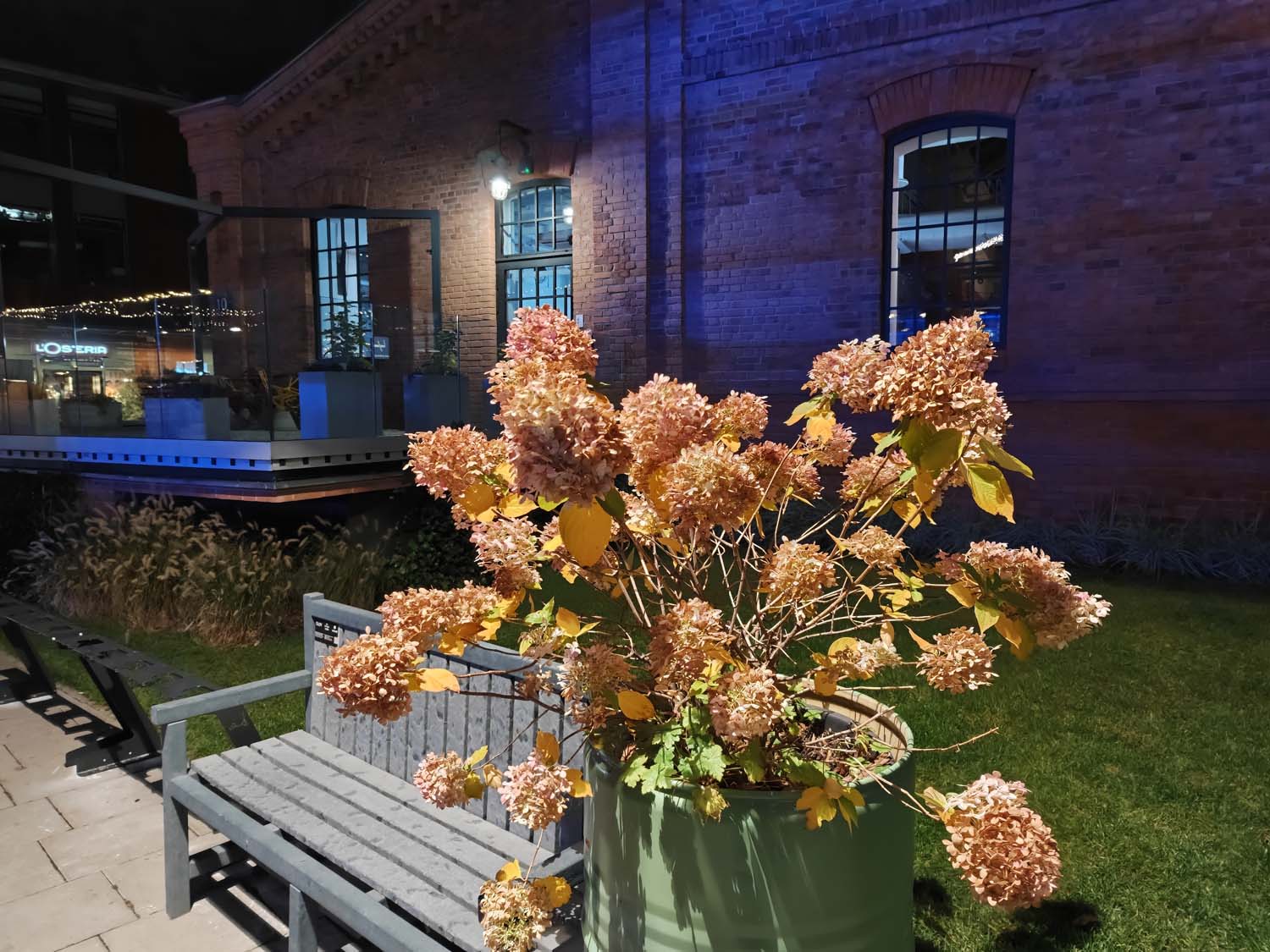 Nasze porównanie fotografii nocnej najnowszych chińskich flagowców: vivo X300 Pro, realme 8 GT Pro, Huawei Pura 80 Ultra i OPPO Find X9