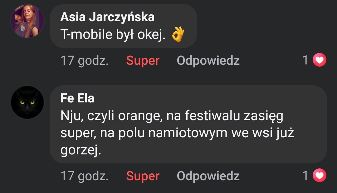Sieć na 31 Pol'And'Rock Festival
